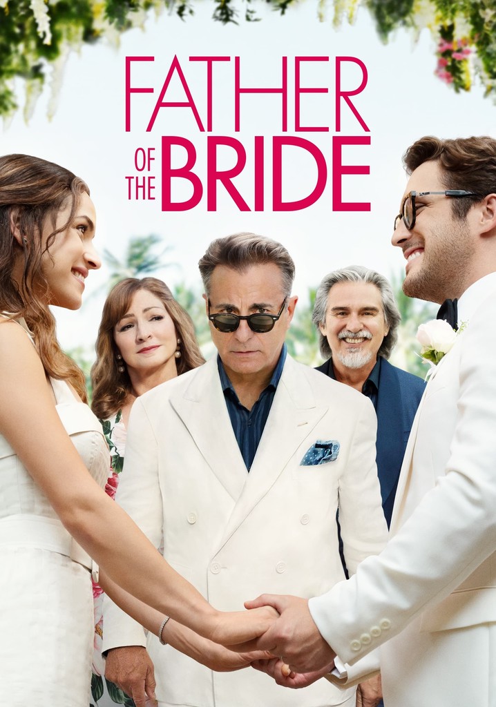 Father of the Bride streaming where to watch online?
